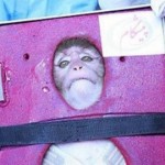 Iran Launches Monkey into Space