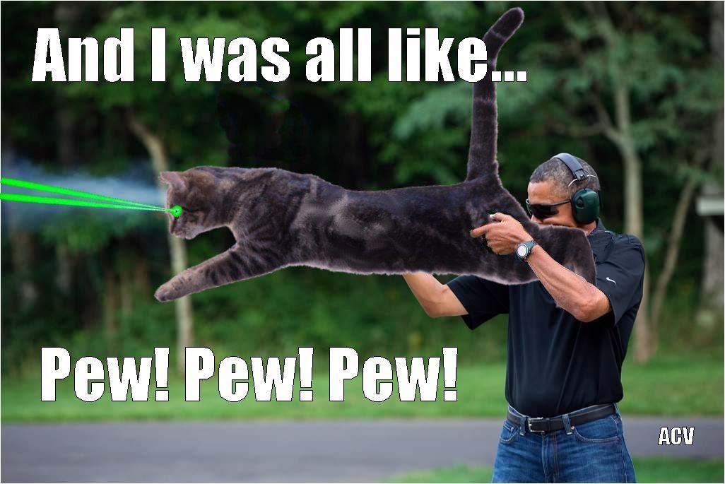 obama skeet laser cat obama skeet laser cat